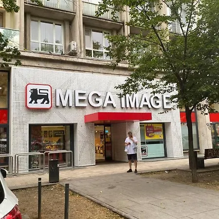 Magheru Cozy New 2 Διαμέρισμα