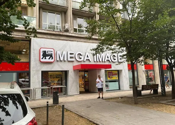 Magheru Cozy New 2 شقة